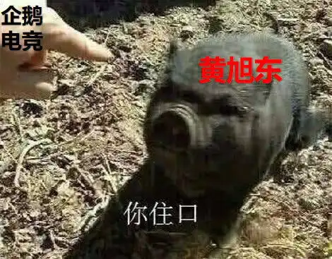 时隔五年wcg再开播,企鹅电竞独揽直播权