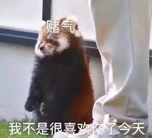 今天也很喜欢你表情包爱