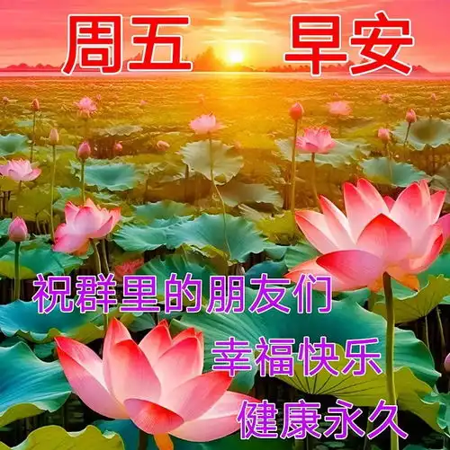 晚上好表情包,晚上好图片,晚上好问候