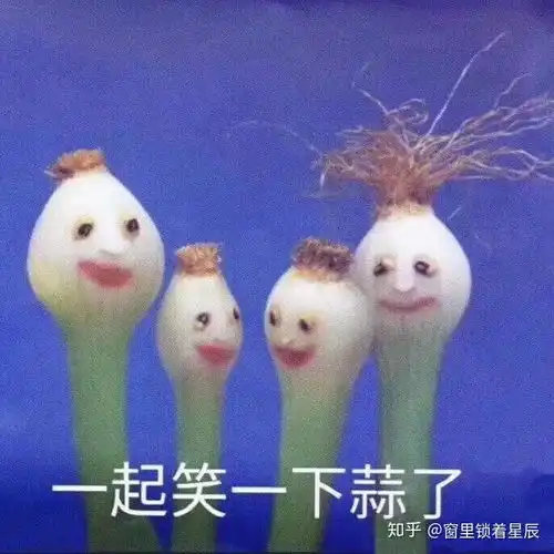 浸猪笼图片表情包