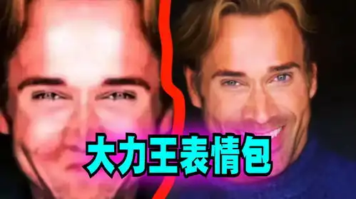 搞笑污力表情包大力哥