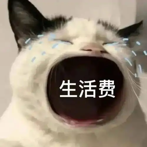 惊讶猫表情包张大嘴巴