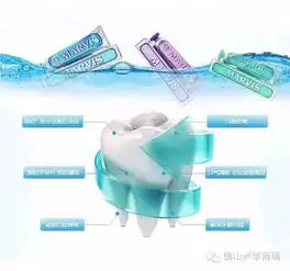 听说双11兴华来了一批网红,还可以带回家