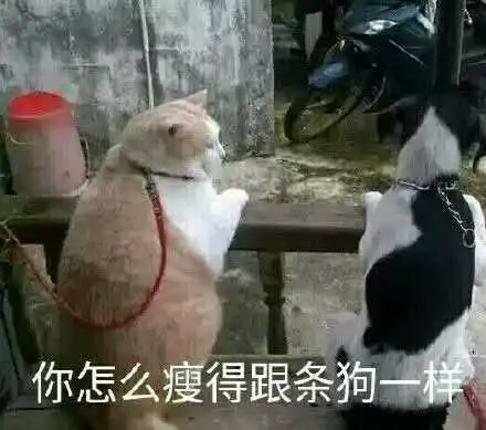 诺贝尔医学奖获得者熬夜真的会让你变丑