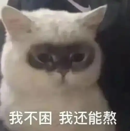 5亿人围观霸总爱上绝经的我,儿媳狂扇18个巴掌,扇成了今年最癫的爽剧