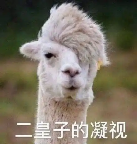 死亡凝视表情包死亡凝视微信表情包死亡凝视qq表情包发表情fabiaoqing.com