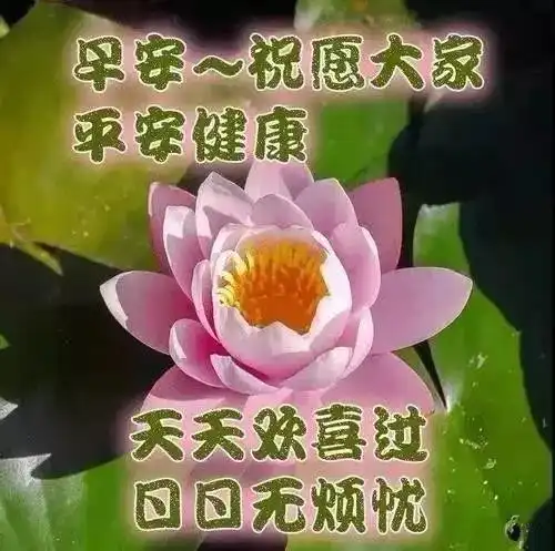 问候表情包小暑表情包