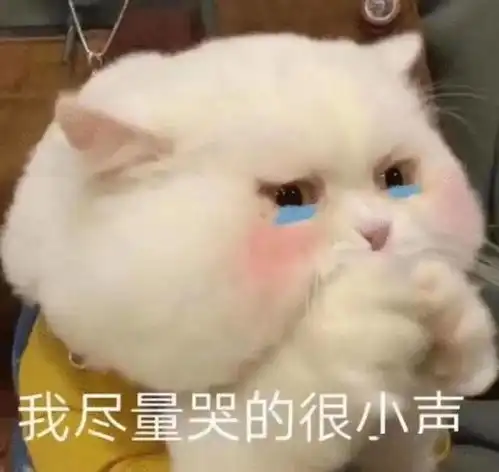 雷到了表情包咪咪