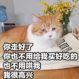 卖萌撒娇表情包我生气了哄不好的那种