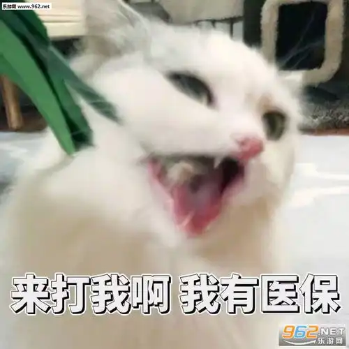 来打我啊我有医保表情包图片确认过眼神表情包下载乐游网游戏下载