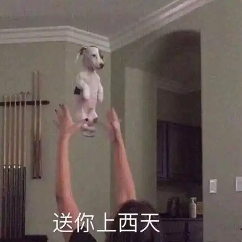 女票想生气,分分钟都可以有理由说中的举手
