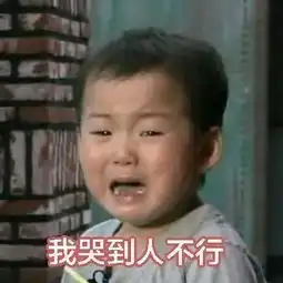 宋民国一人饮酒醉歌词表情包