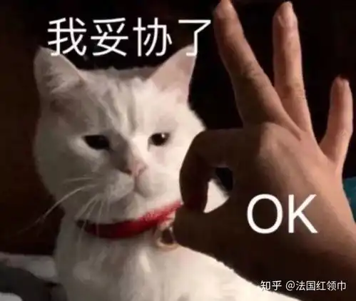 今天也很喜欢你表情包脸
