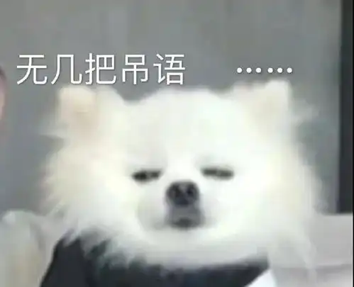 最喜欢的一组沙雕搞笑表情包万般皆下品,唯有读书高