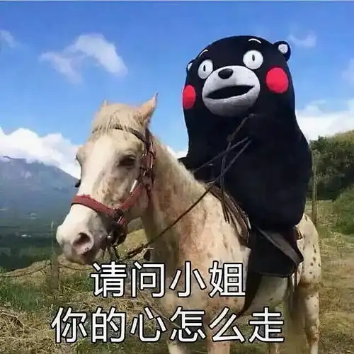 斗图表情包潜水宠物狗