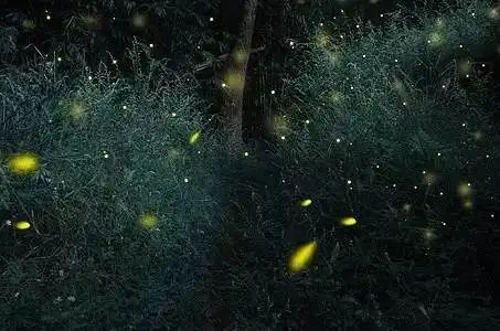 早安祝福语大全早安问候语幽默