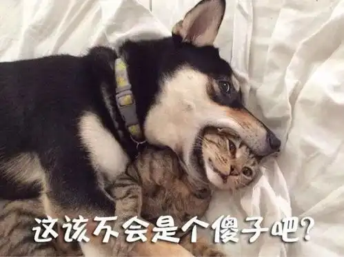 爱宠表情包也能发家致富来斗图啊