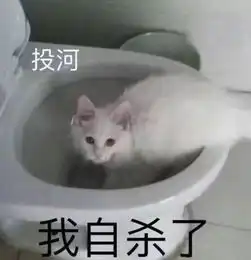 公司洗手间,无数年轻人的打卡胜地厕所