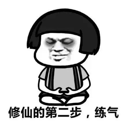 布鲁克表情包修仙