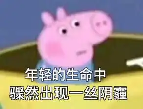 小猪佩奇表情包合辑,这些猪猪我能看一整天