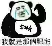 哔哩哔哩专栏