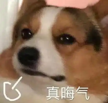 溜了三位女主三家粉丝都抵制的s大项目,还能顺利开机吗
