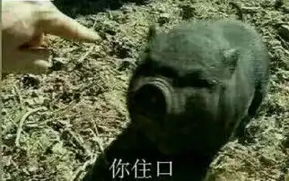 炸毛表情包图片沙雕