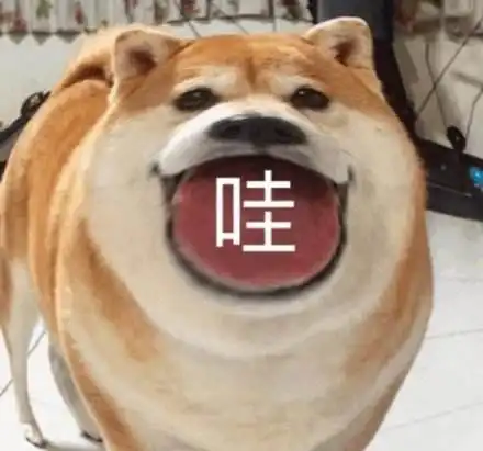 好热的图片搞笑表情表情