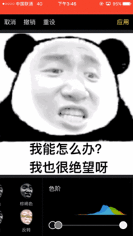 收藏最全的表情包制作教程,微信聊天你最棒有用功