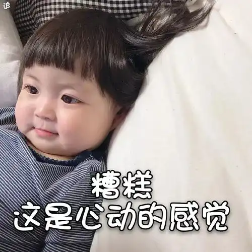 木大木大表情包罗熙