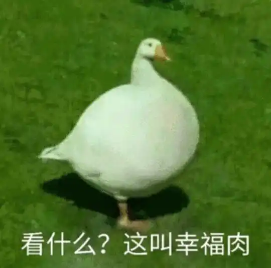 大路的相册动物表情包