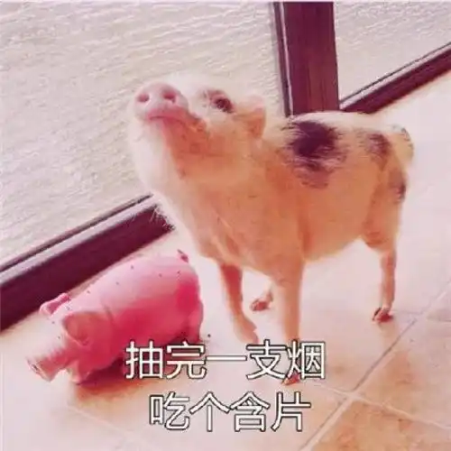 20个2018春晚搞笑关键词神预测