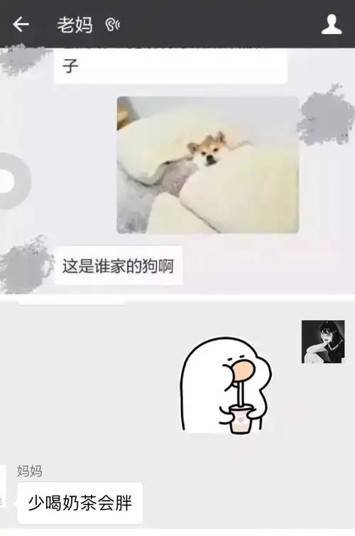 趣谈你眼中的表情包和爸妈眼中的表情包,天壤之别