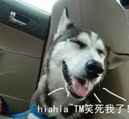 不谢表情包哈士奇