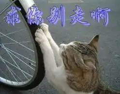 北京四中网校互帮互学