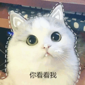 2022年护士考试报名超详细流程总结