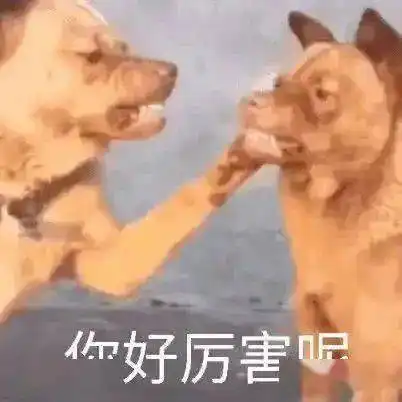 沙雕聊天表情包