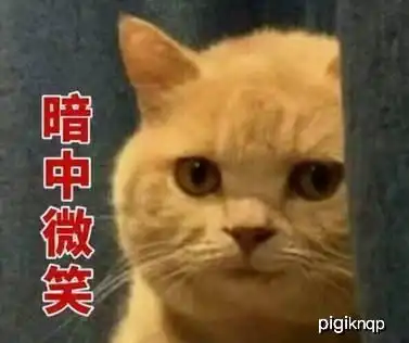 猫是一种神奇的动物,无论你贫穷还是富有,它都一样看不起你