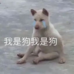 小狗的表情包