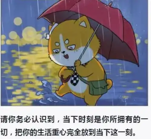 拿出周五的态度5本可爱小书带你感受动物们的治愈力