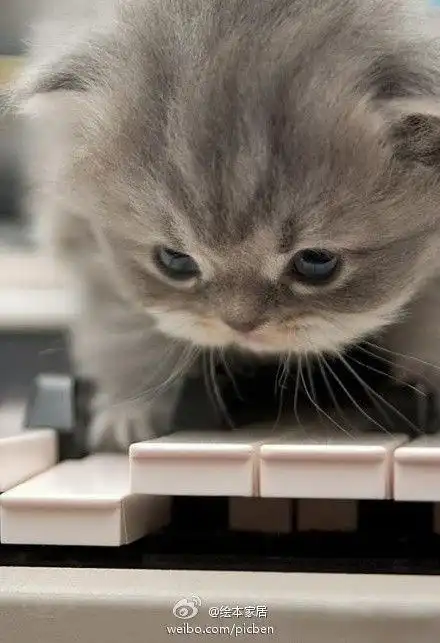 莫生气微表情愤怒的科普小知识