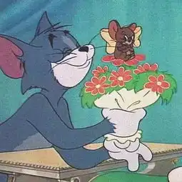 猫猫动漫头像可爱汤姆和
