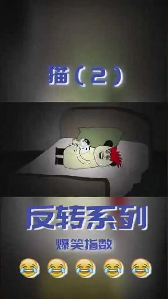 沙雕恐怖动画之猫