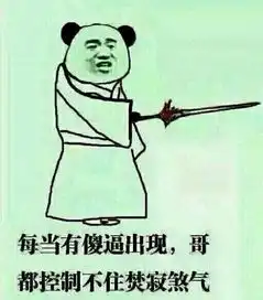 iphone5s型号a1453是否支持埃塞俄比亚4g网络