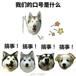 上海乌镇杭州属于我们仨自个儿的第一个旅程闺蜜行