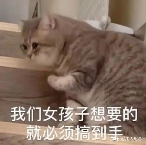头发炸毛了的表情包