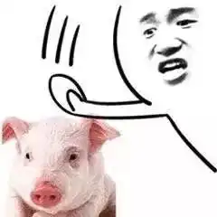 没钱的表情包发给爸爸没