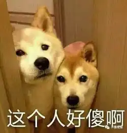 丈夫常年在外,一女子家门口捡俩插排,竟暗藏偷窥器...