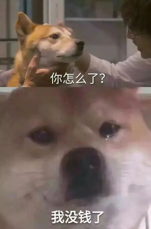 双12真能捡到大便宜吗