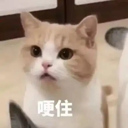 我的悲伤大概有这么大可爱猫咪的表情包